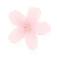 Trusted cleaning company in UAE Sakura Cleaning